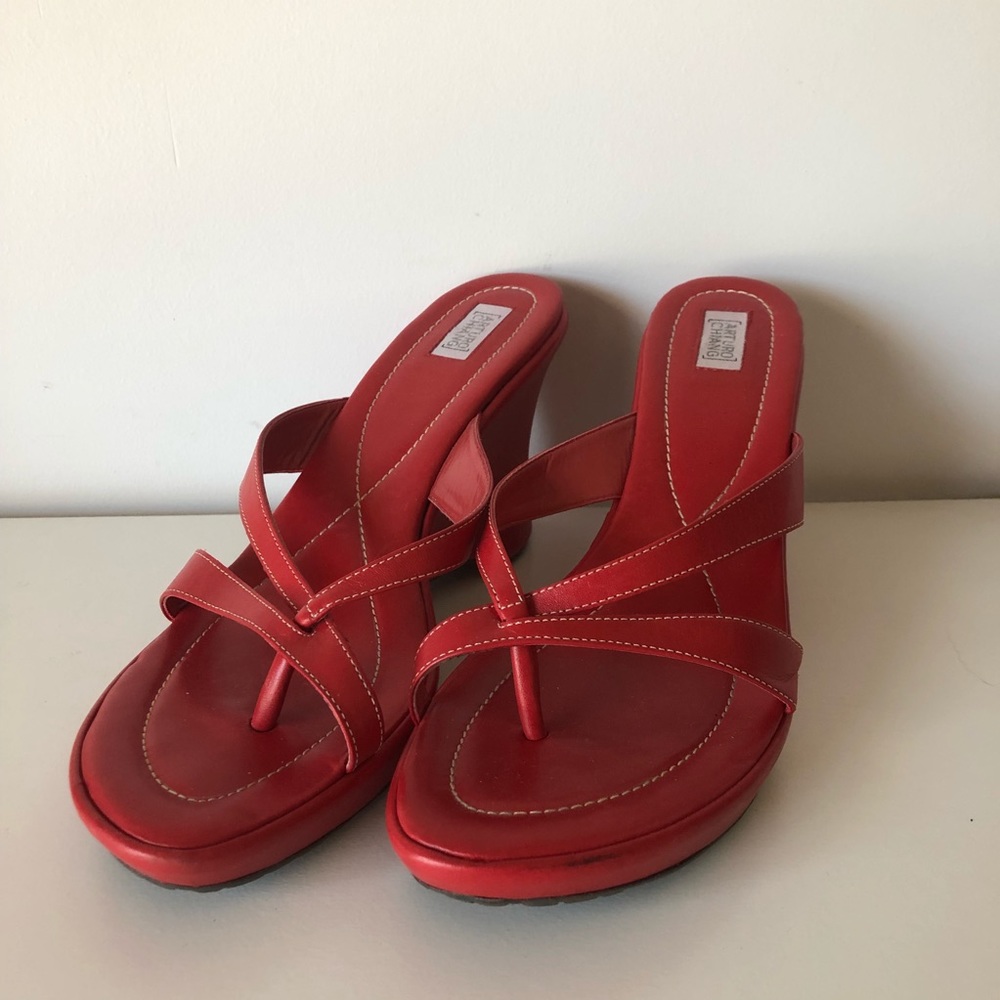 Arturo Chiang Red Wedge Sandals